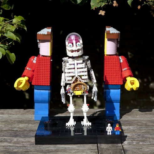 Anatomini Opening Lego Ideas